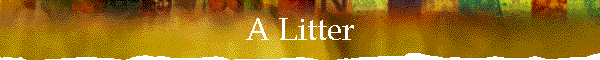 A Litter